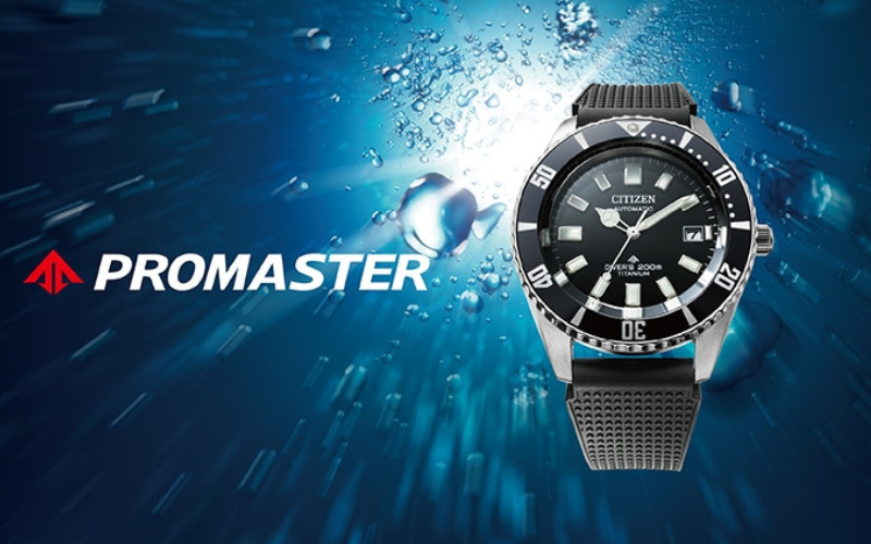 PROMASTER